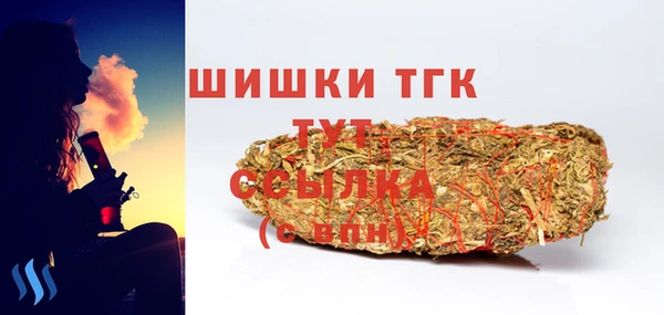 герыч Снежинск
