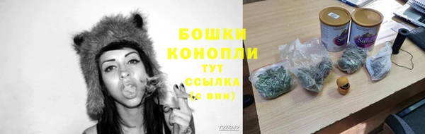 трава Снежногорск