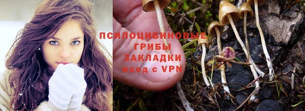 трава Снежногорск